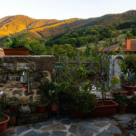 אורחן Matilde Cillorigo de Liebana